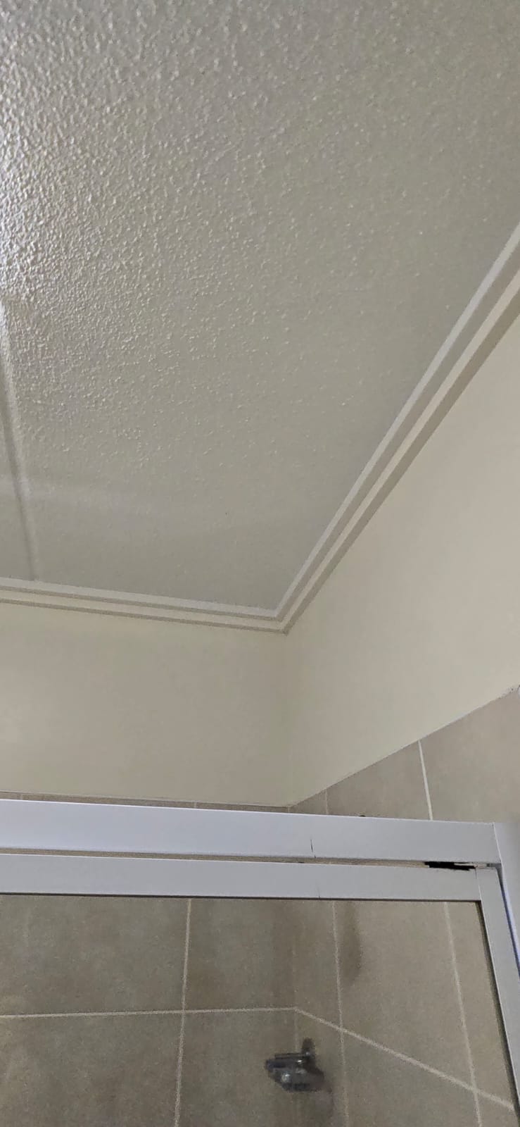 Clean shower ceiling after mould remediation