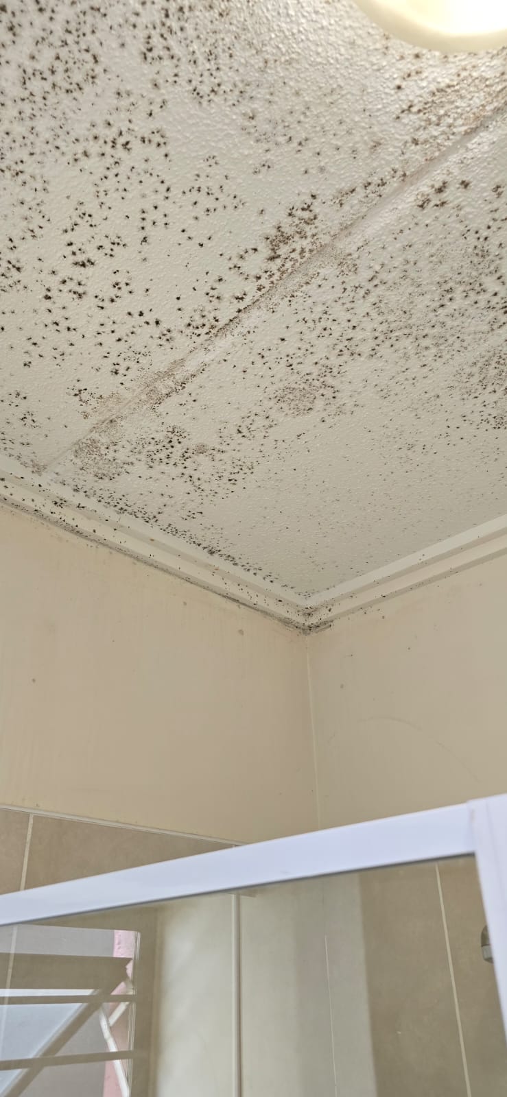 Bedroom ceiling near wardrobe covered in black mould