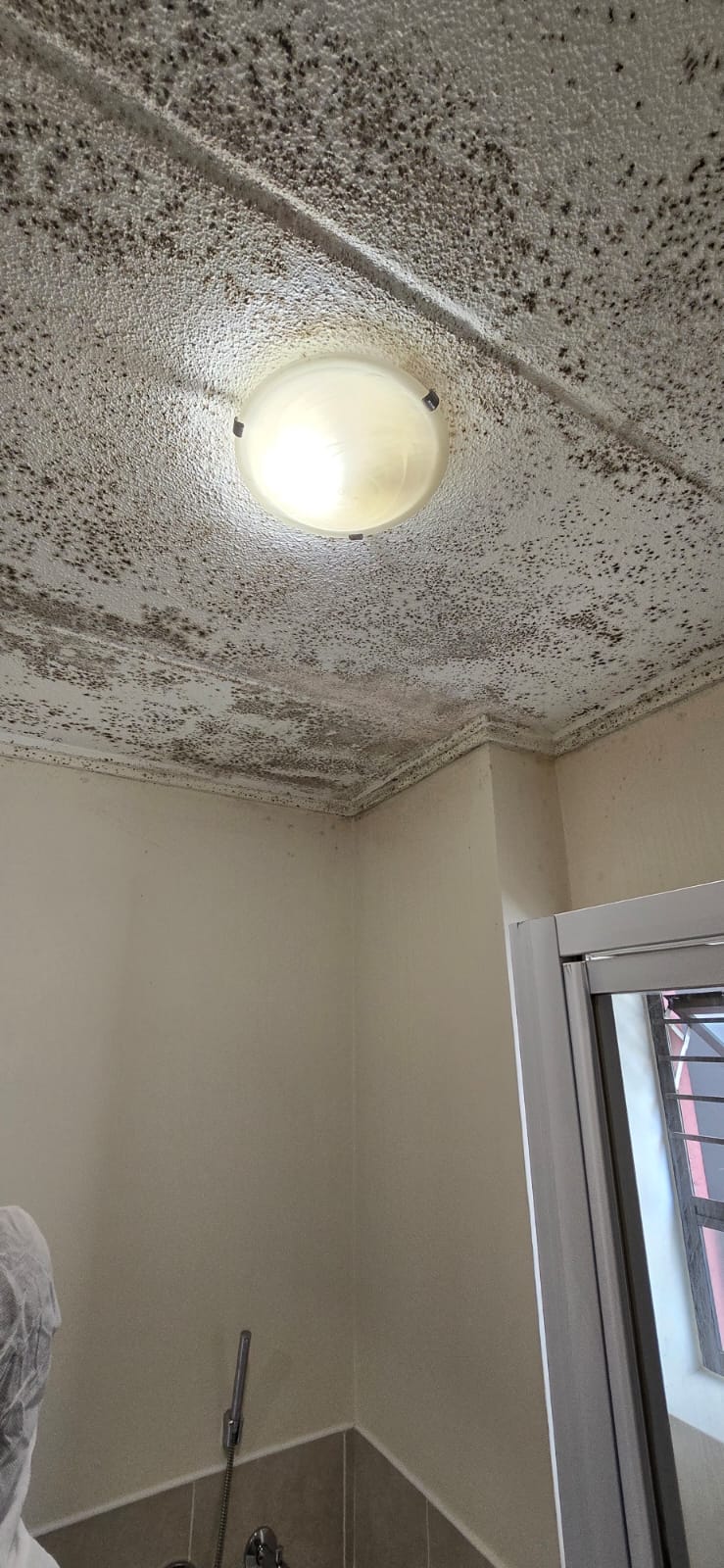 Shower room ceiling densely covered in black mould