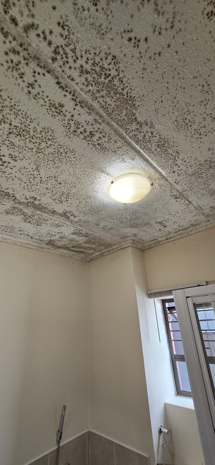 Same bathroom ceiling completely covered in black mould