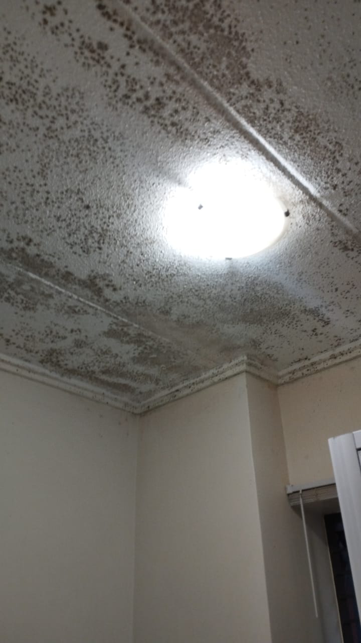 Heavy mould — before