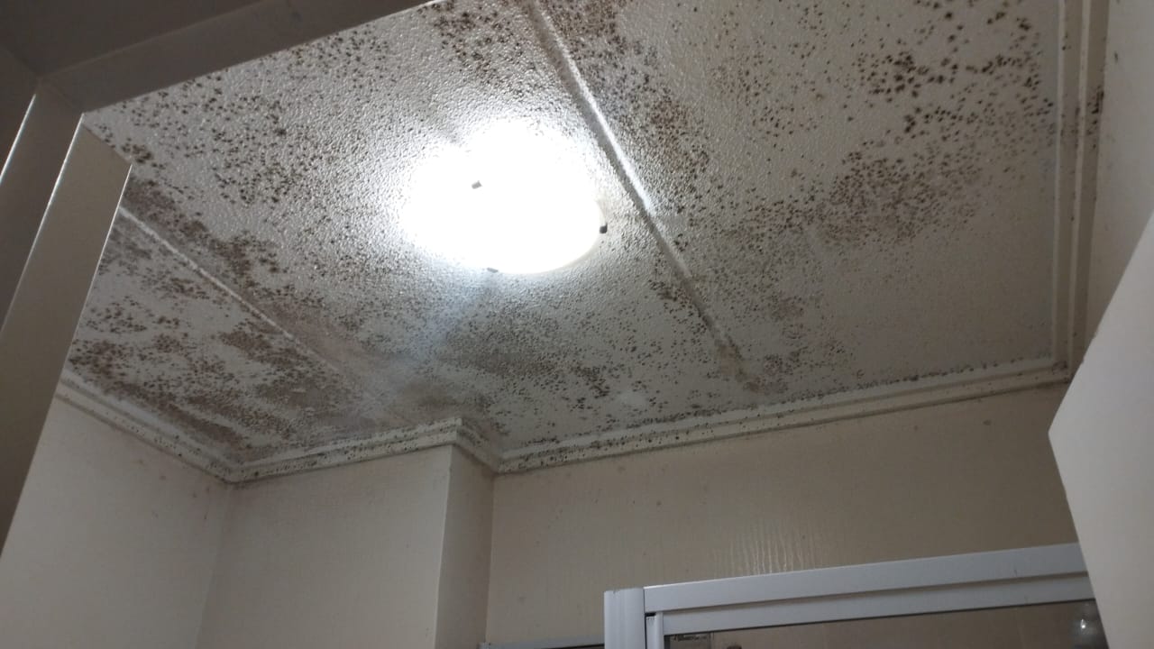 Severe ceiling mould — before