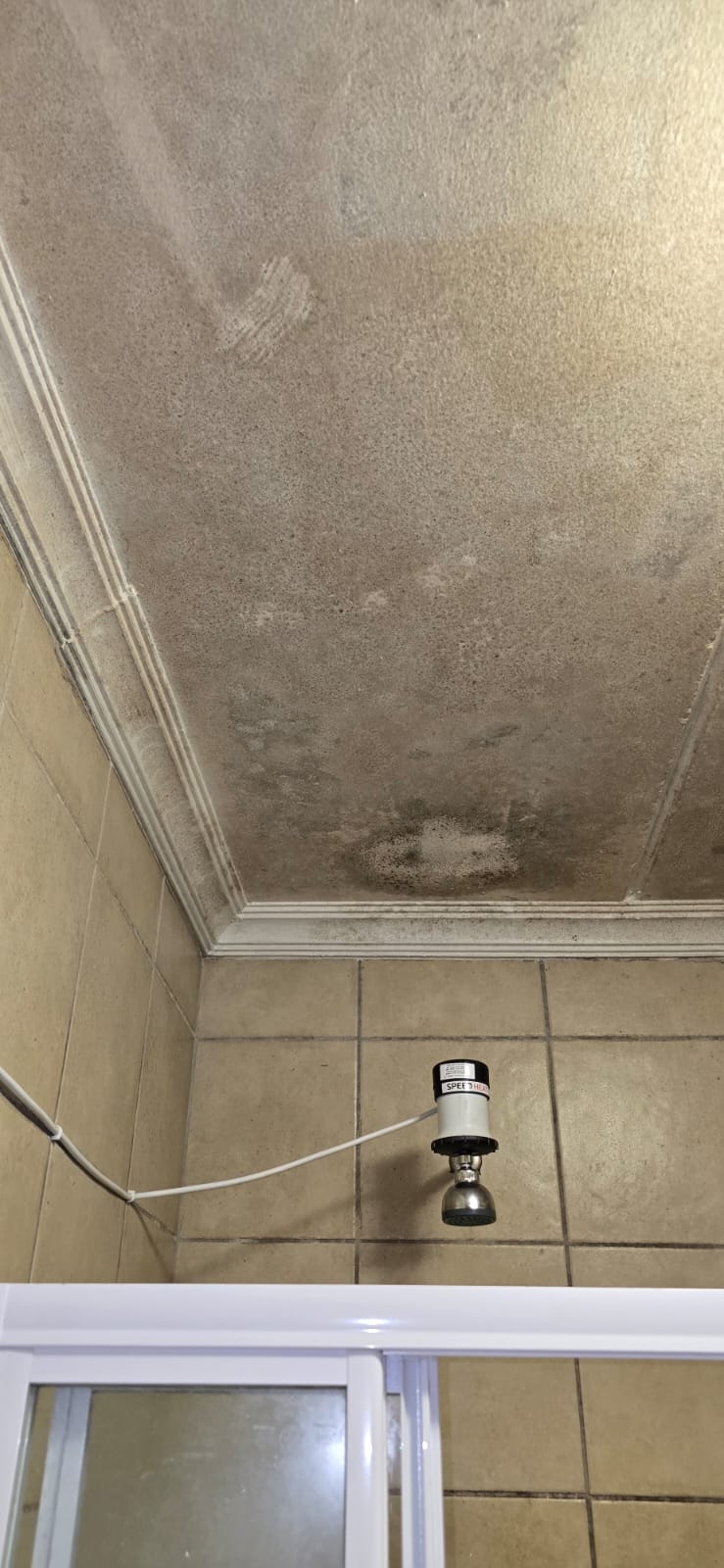 Bathroom ceiling mould — before